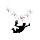 Black Squadron Dive