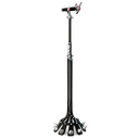 Chromatica Mic