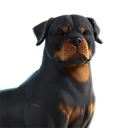 EsDeeKid's Canine