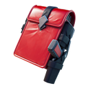 Scarlet Satchel