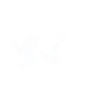 Spirit Strider