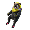 Rocket-Ready Roscoe