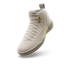 Air Jordan 12 'Phantom'