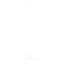 Synth Step