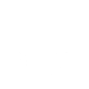 Lil' Big Jellyfish