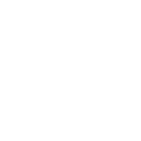 Shadow Play: Max Elephant