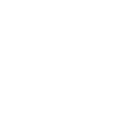 Metamorphosis