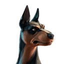 Spike