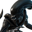 Xenomorph