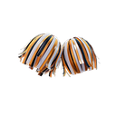 Premiere Poms