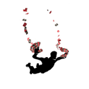 Aces Fly