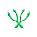 Final Wishbones