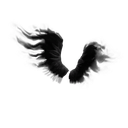Shadow Wings