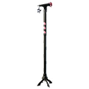 LISA's Classic Mic