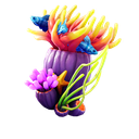 Anemone