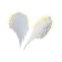 Angelic Wings
