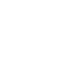 Ice Sculptor