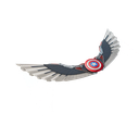 EXO-7 Falcon Wings