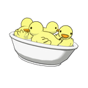 BABY DUCKS