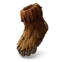 Wookiee Feet