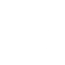 Leaf Blower