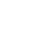 Sign Spinner