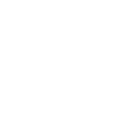 The Worm
