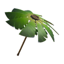 Palm Leaf
