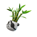 Bamboo Patch