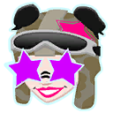 Starry Raider