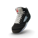 Air Jordan 5 'Black Metallic'