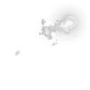 Fire Show