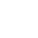 Dynamic Shuffle