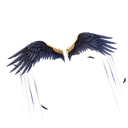Graven's Wings