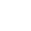 Fist Pump