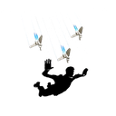 Imperial Shuttle Dive