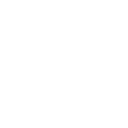 Shadow Play: Toad