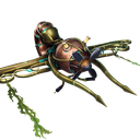 Nautilus