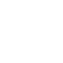 Ringer