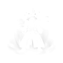 Get Nitro'd