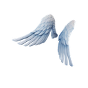Ark Wings