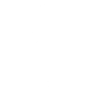 Lazer Flex