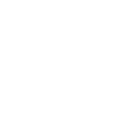 The Snowblower