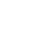 Shimmy Wiggle