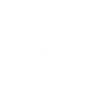 Dance Monkey