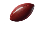 Pigskin