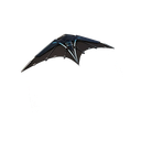 Polysynth Kite