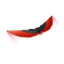 Red Robin's Wings