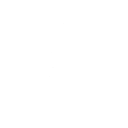 Lil' Carpet Ride