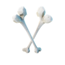 Beef Bone
